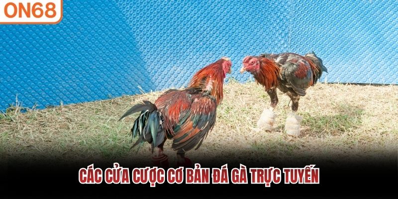 đá gà on68