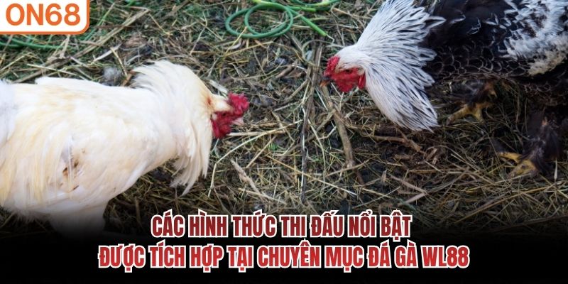 đá gà wl88
