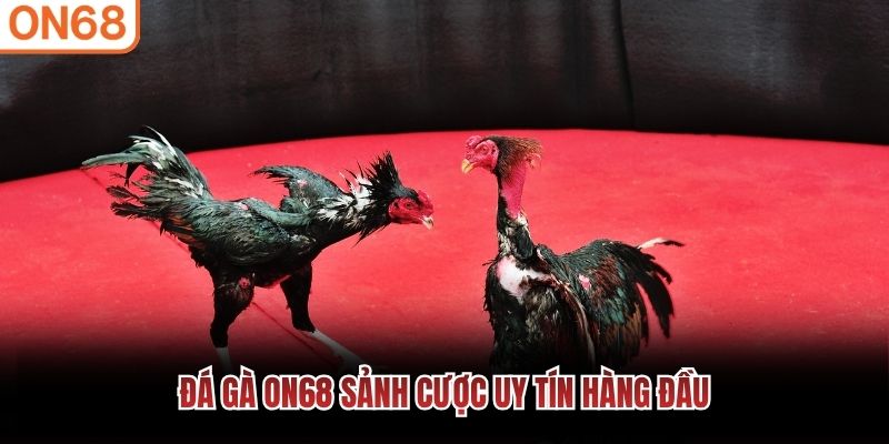đá gà on68