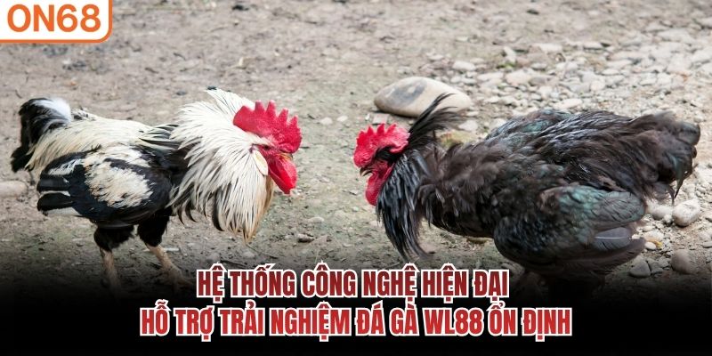 đá gà wl88