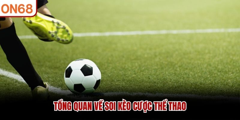soi kèo chuẩn